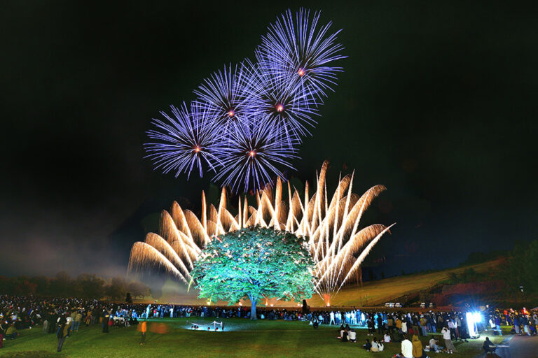 国営越後丘陵公園「長岡花火ハロウィンファンタジー」